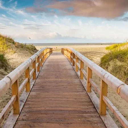 Seesternchen Am Deich C49 *