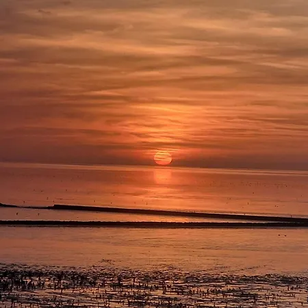 Seesternchen Am Deich C49 Apartment