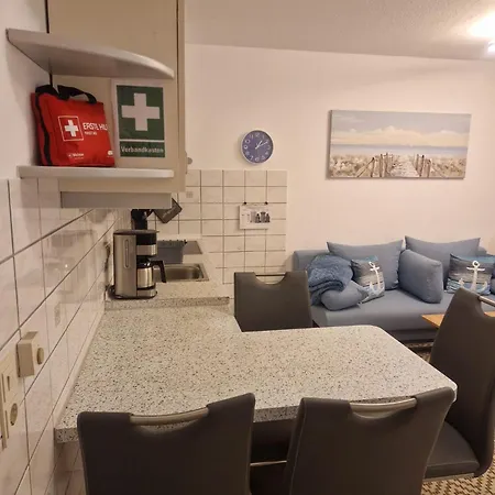 Seesternchen Am Deich C49