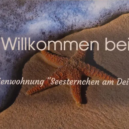 Seesternchen Am Deich *