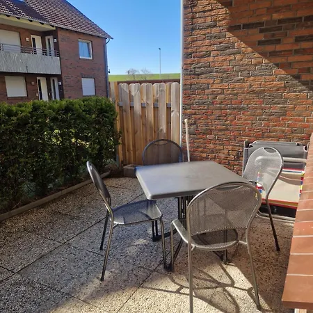 Seesternchen Am Deich C49