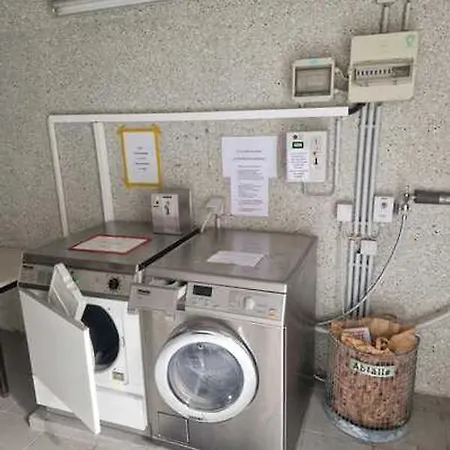 Seesternchen Am Deich C49